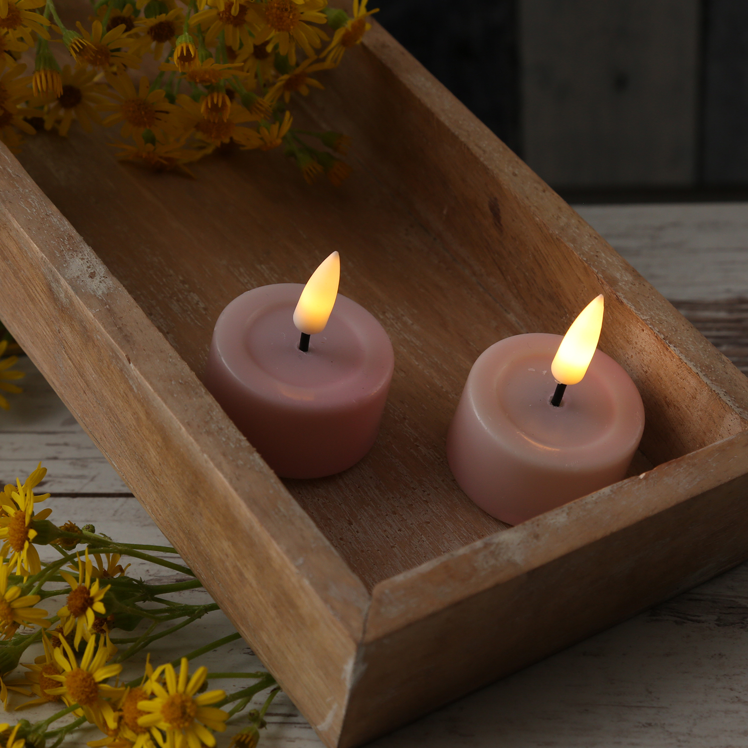 LED Teelichter MIA - Kunststoff - realistische 3D Flamme - D: 4,1cm - rosa - 2 Stk. LED Teelichter MIA - Kunststoff - realistische 3D Flamme - D: 4,1cm - rosa - 2 Stk.