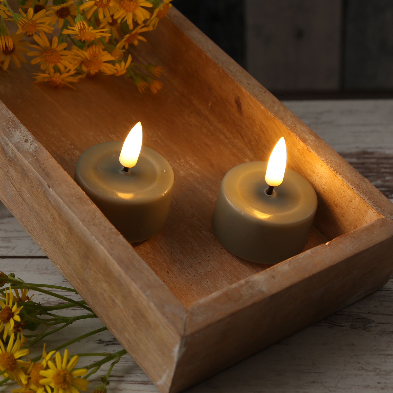 LED Teelichter MIA - Kunststoff - realistische 3D Flamme - D: 4,1cm - salbeigrün - 2 Stk LED Teelichter MIA - Kunststoff - realistische 3D Flamme - D: 4,1cm - salbeigrün - 2 Stk