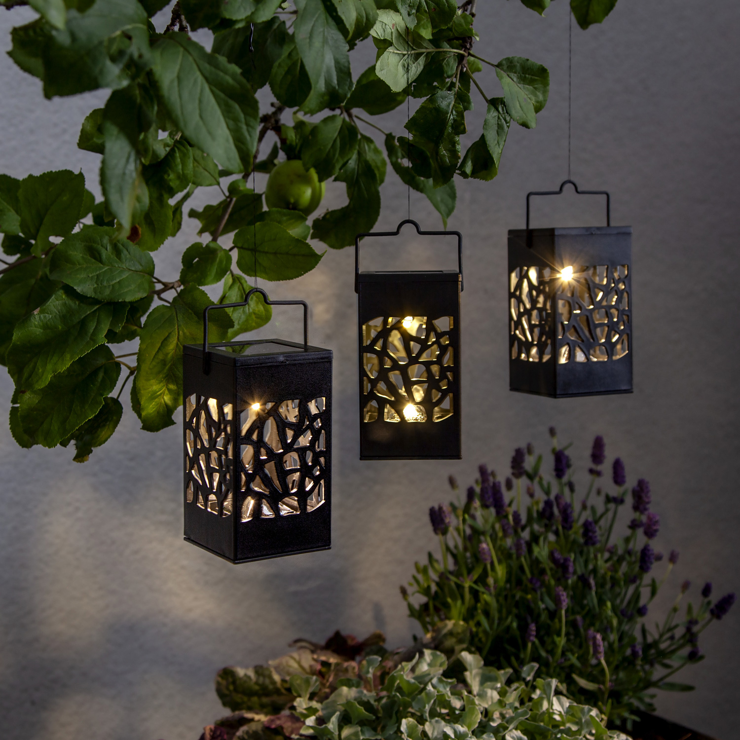 LED Solar Laternen Izola - zum Hängen o. Stellen - warmweiße LED - H: 11cm - Lichtsensor - 3er Set