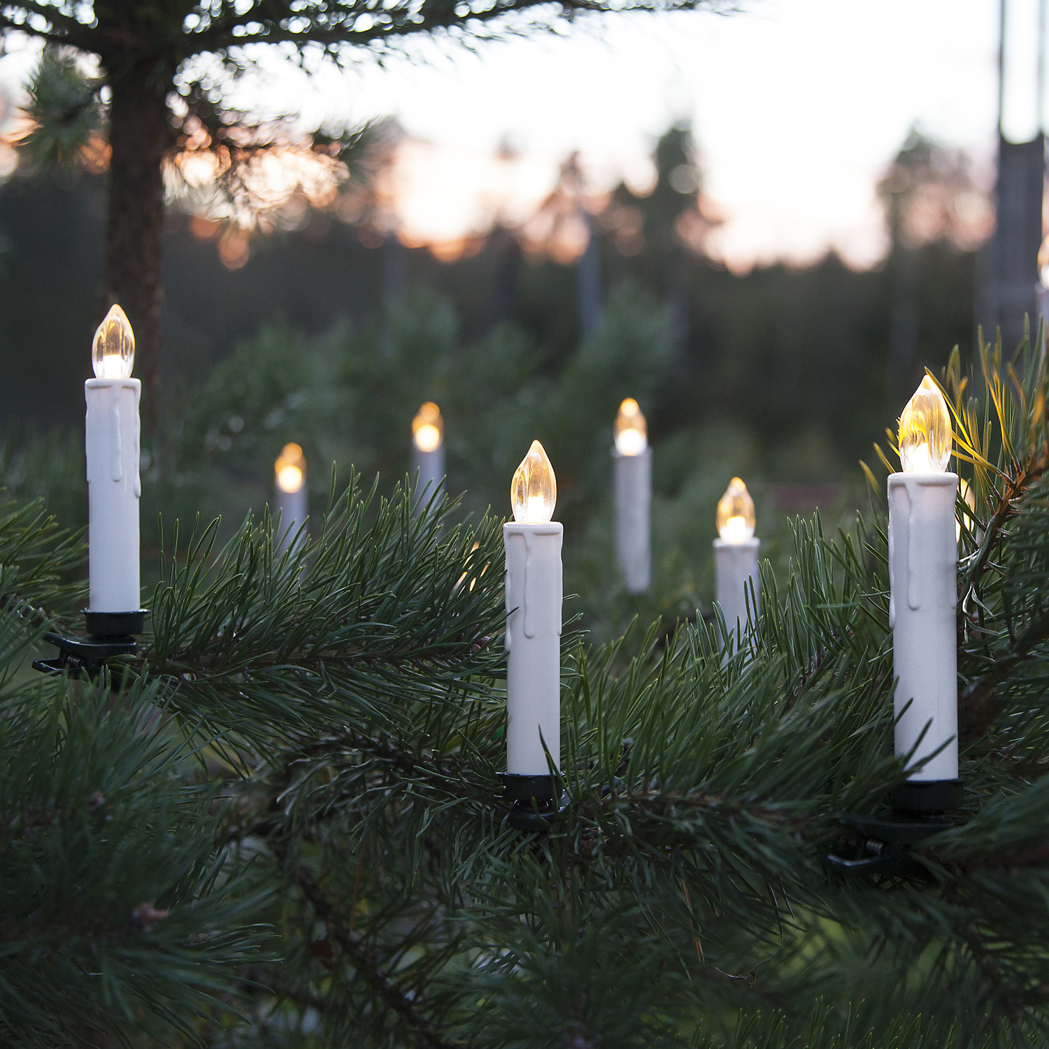 LED Baumkerzen - warmweiße statische LED - Batteriebetrieb - H: 13cm - Outdoor - 10er Grundset LED Baumkerzen - warmweiße statische LED - Batteriebetrieb - H: 13cm - Outdoor - 10er Grundset
